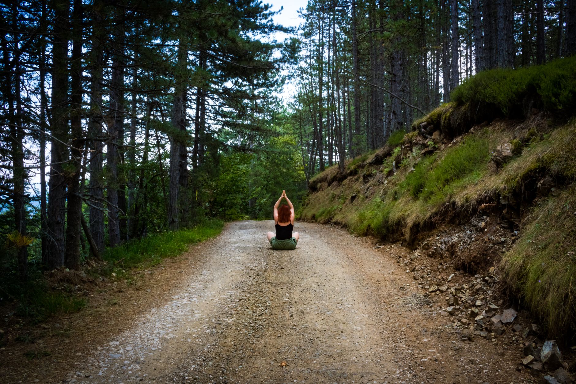 Forest Bathing: The Japanese Practice That Reduces Cortisol in 20 Minutes