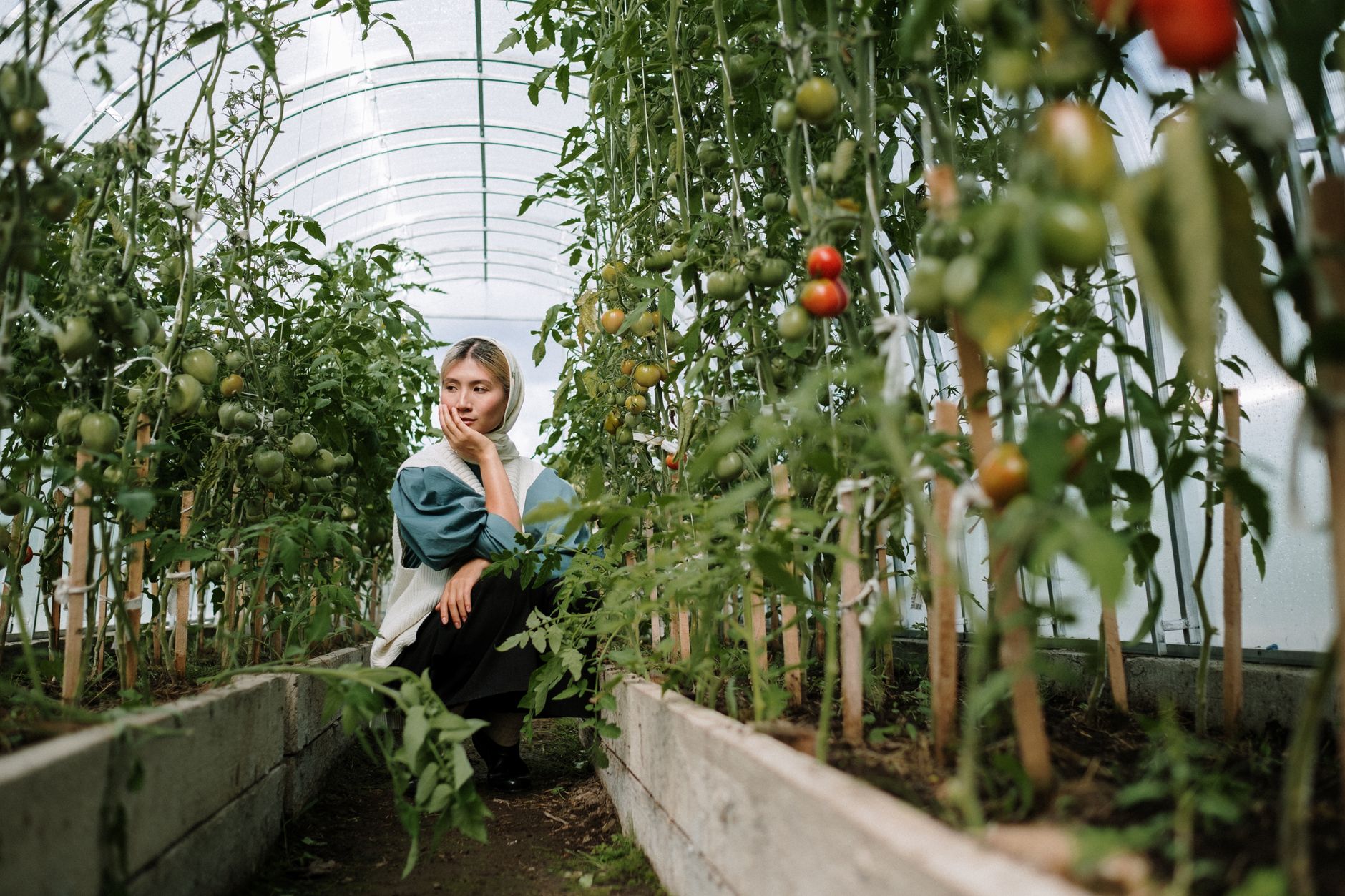 Growing Food on a Balcony: What Is Actually Possible