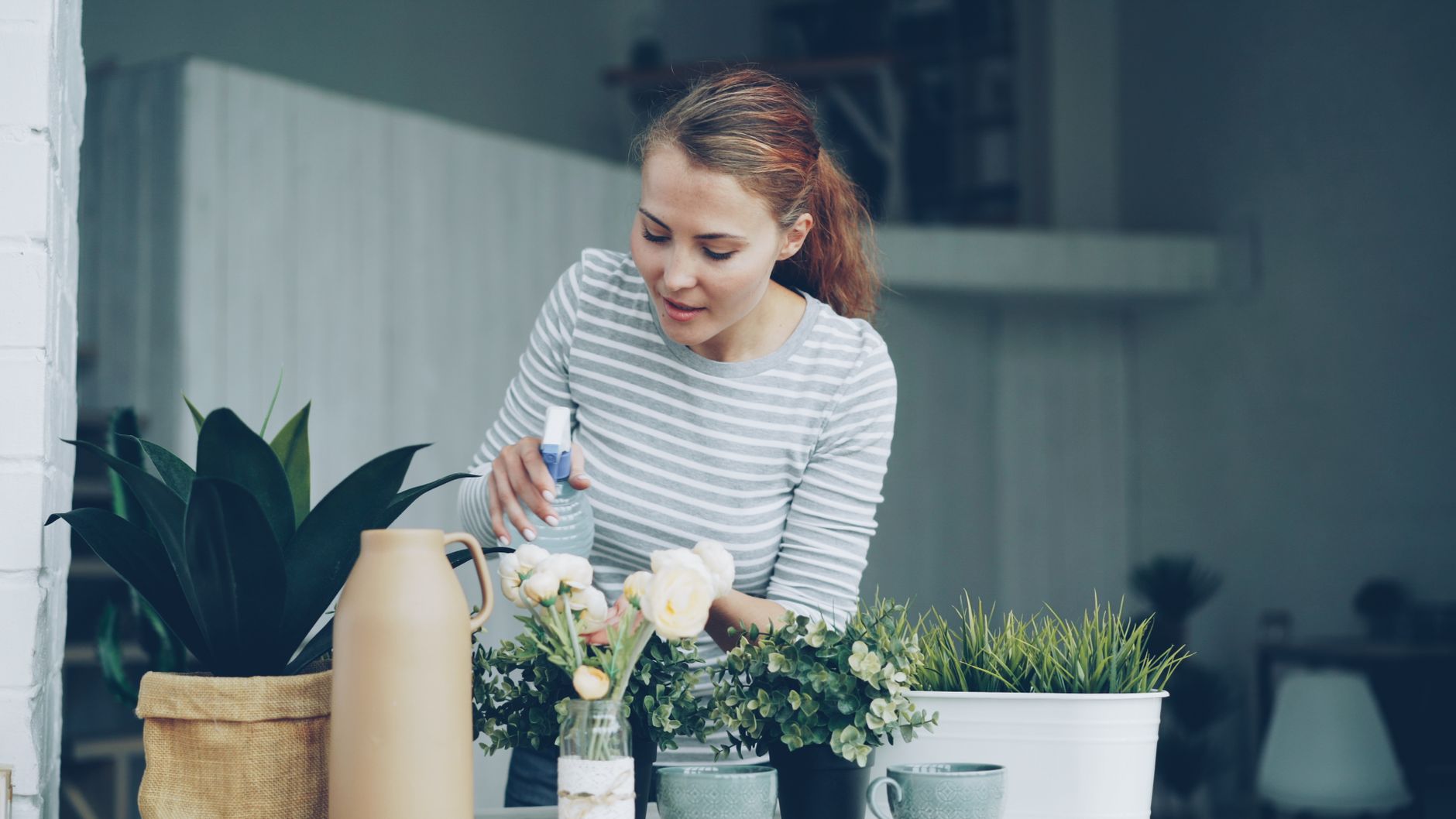 Houseplants That Actually Improve Your Indoor Air Quality