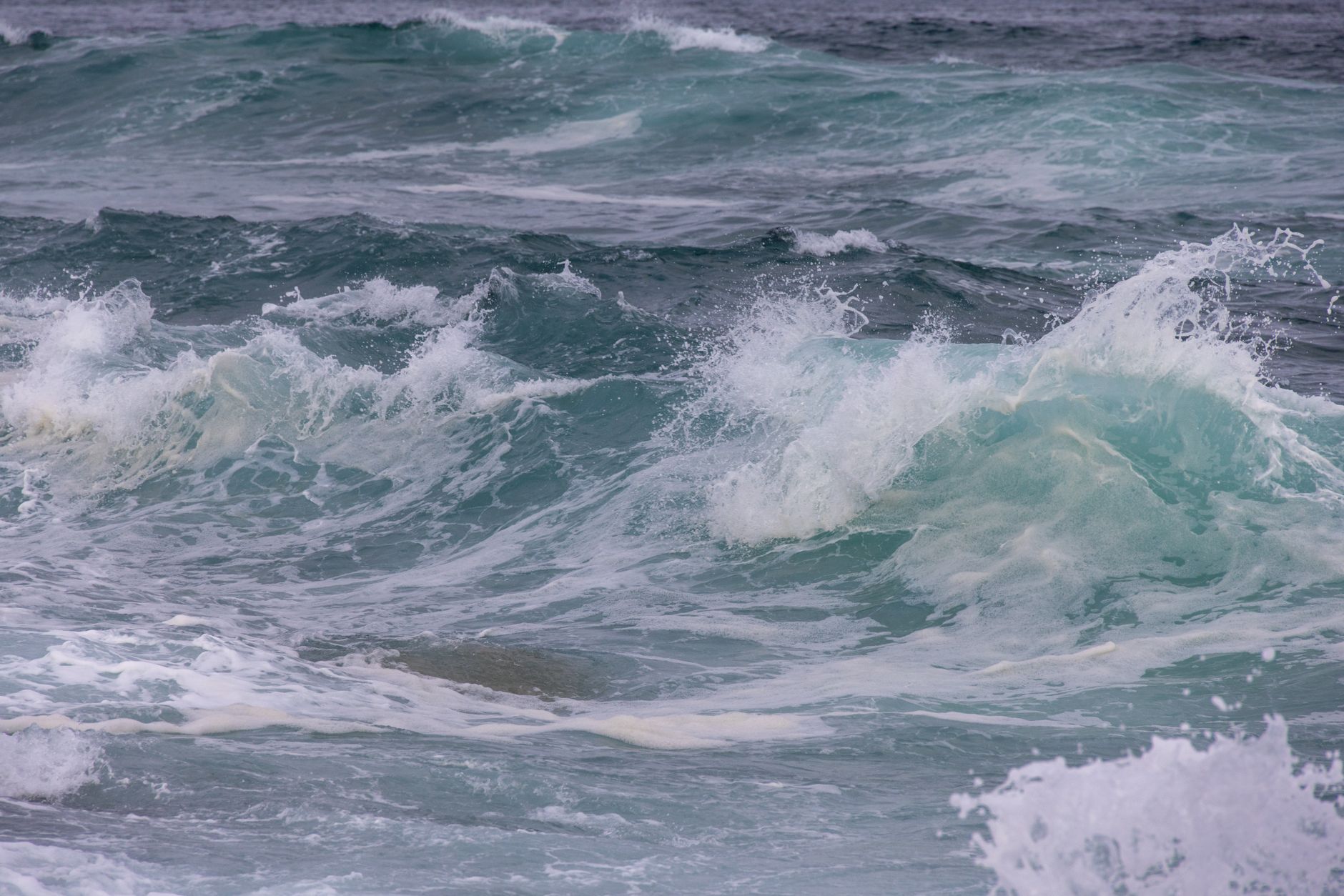 The Healing Power of the Ocean: What Science Reveals About Blue Spaces